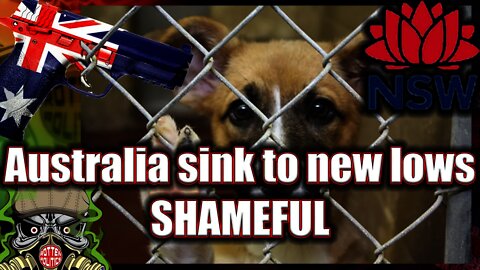 Australia the Pet killing tyrants 😯 the lowest of low