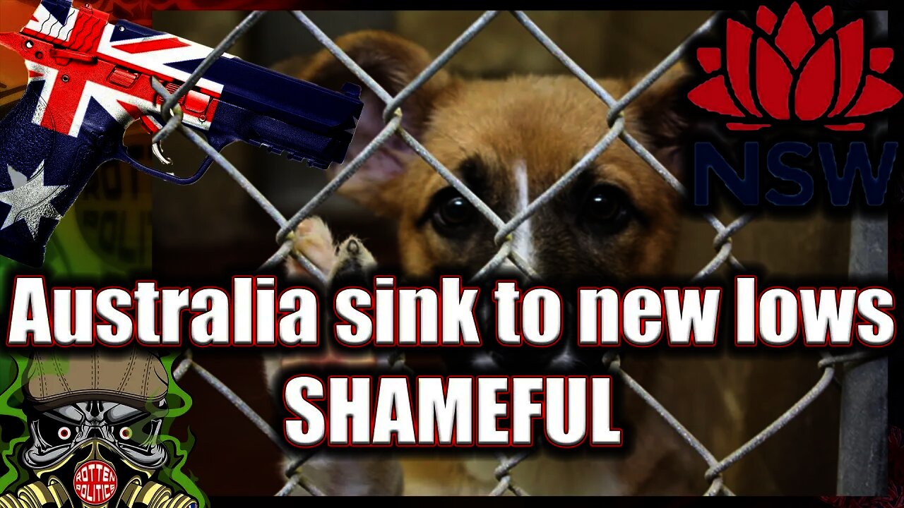 Australia the Pet killing tyrants 😯 the lowest of low