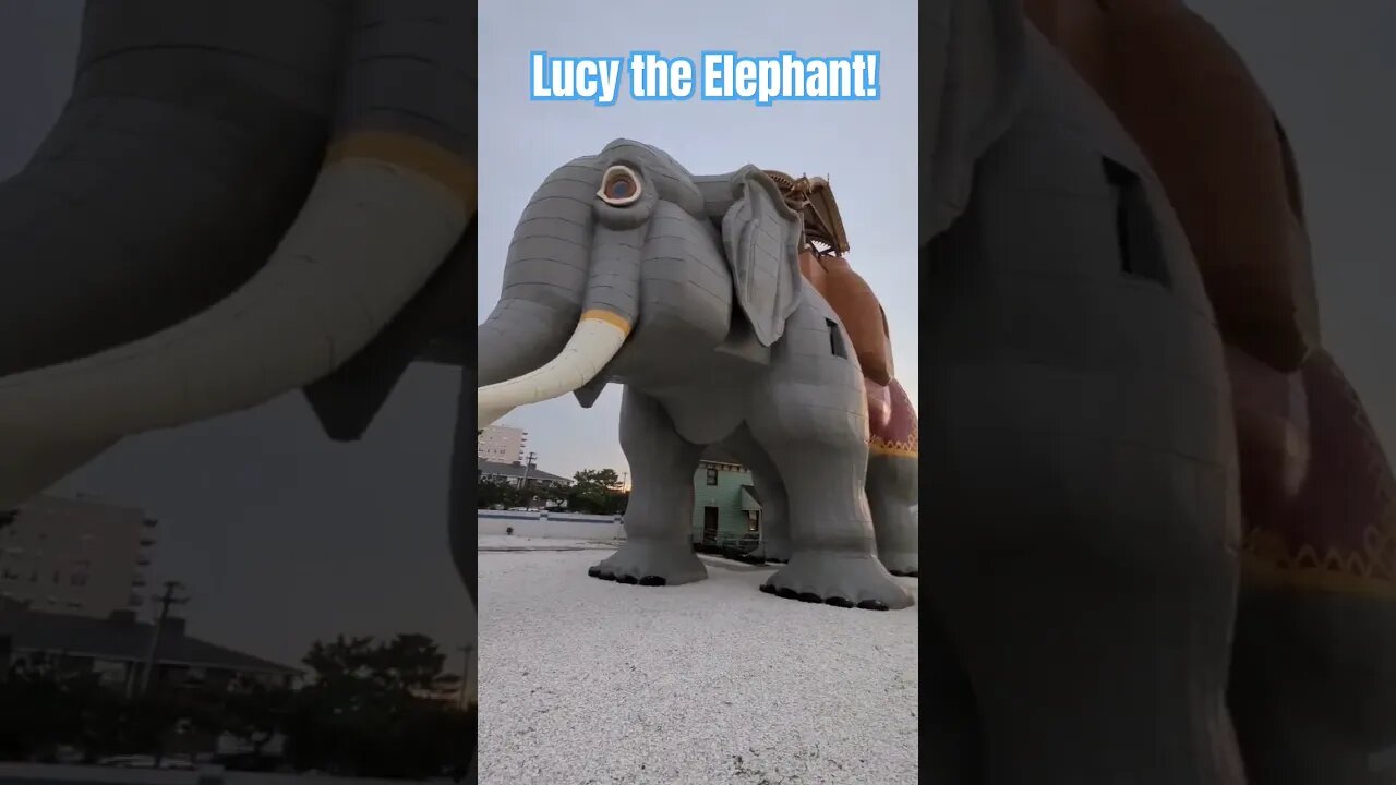 Lucy the Elephant!