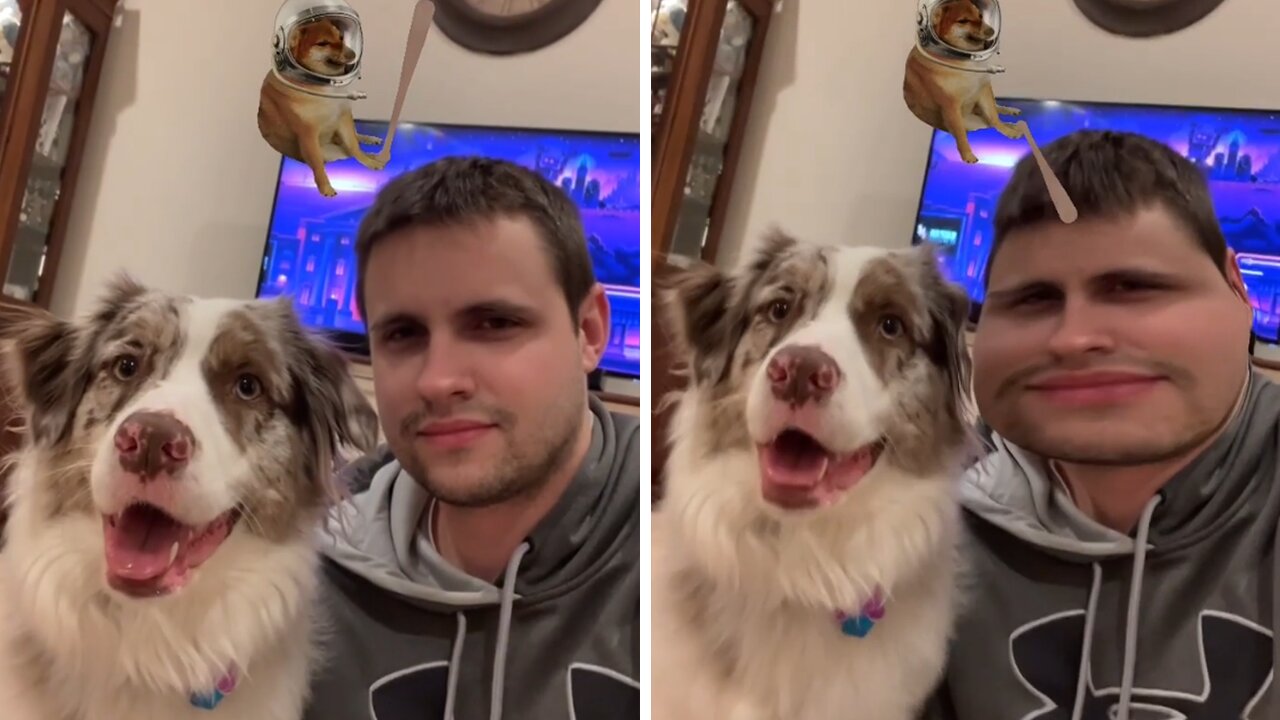 Dog Protect Owner From "Evil" App Filter