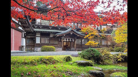 Beautiful Nikko Japan Day 1 Adventure