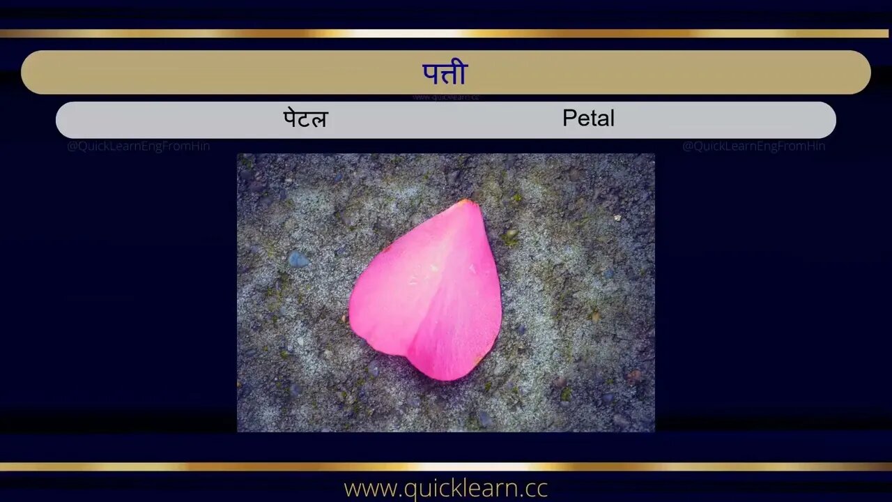 Learn English via Hindi with pictures - Plants हिन्दी से अंग्रेजी सीखें - पौधे #learnenglish