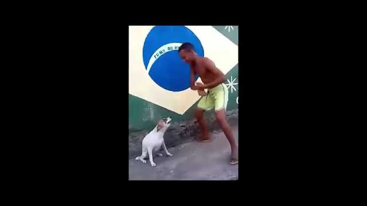 Niño baila con su perros