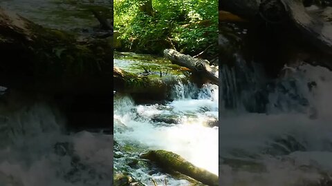 Waterfalls On The Niagara Escarpment #shorts #shortvideo #shortsvideo #shortsfeed