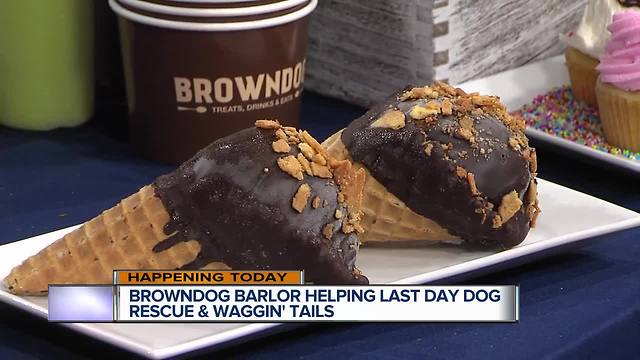 Browndog Barlor