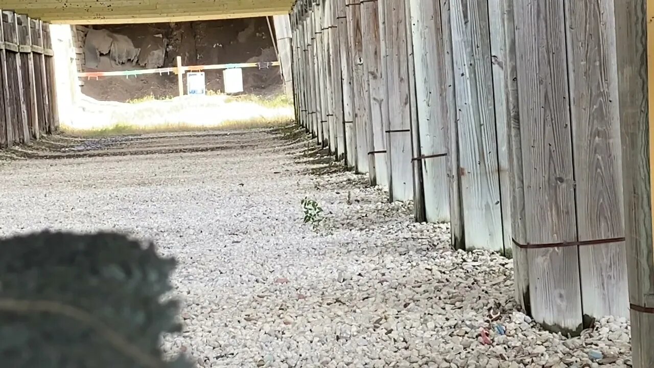 Wolf 556 upper test