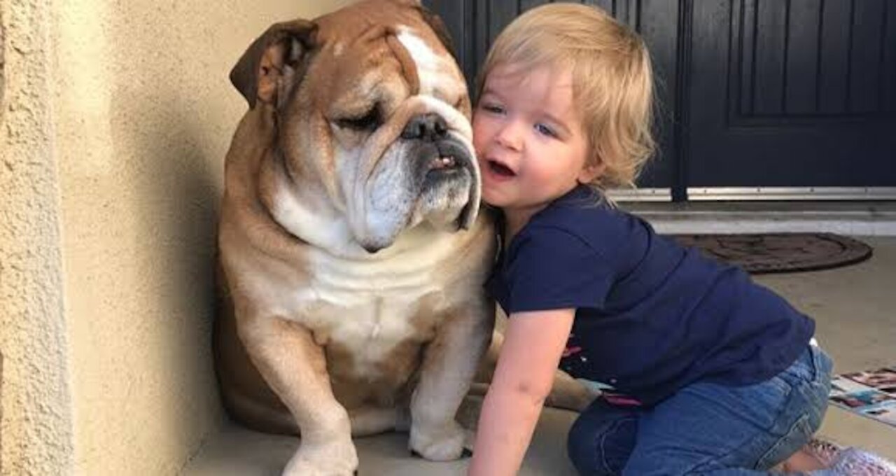 baby and bulldog trying to climb the couch!!