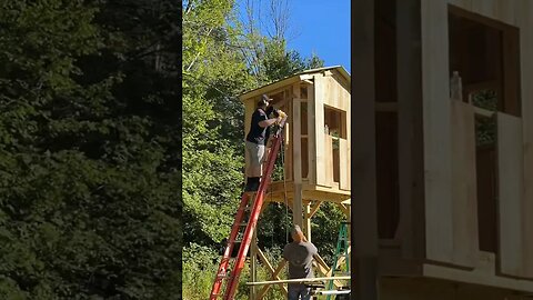 Building a deer blind