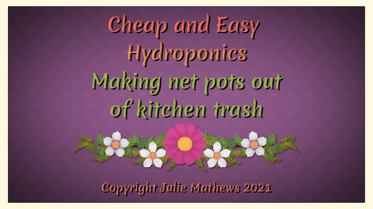 Cheap Hydroponic Net Pots from Kitchen Trash Free And Easy!