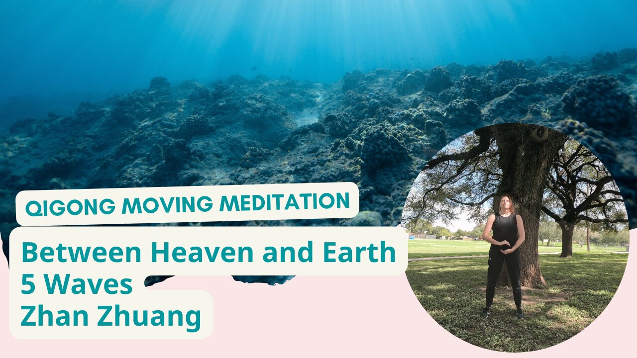 Exploring Your Connection: A Full, Meditative, Qigong Practice