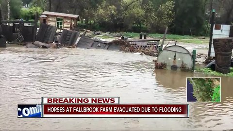Horses at Fallbrook farm evacuated due to flooding