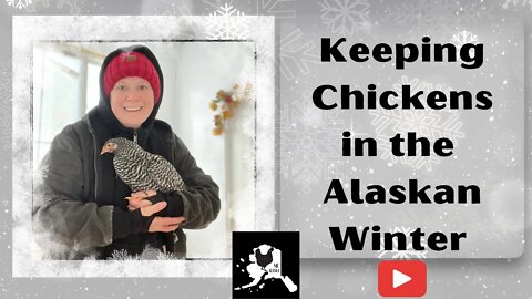 Alaska in Winter | Keeping Chickens | Morning Chores, Day in the life on an Alaskan Homestead