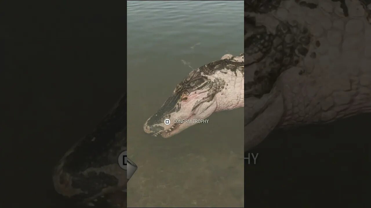 BOW 🏹 Flushing PIEBALD 🐊 Gator On The Run - theHunter: Call of the Wild #shorts