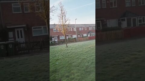 Jack Frost has been working today