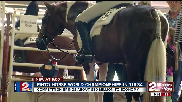 Pinto Horse World Championship returns to Tulsa