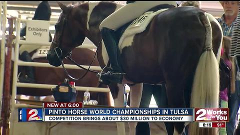 Pinto Horse World Championship returns to Tulsa