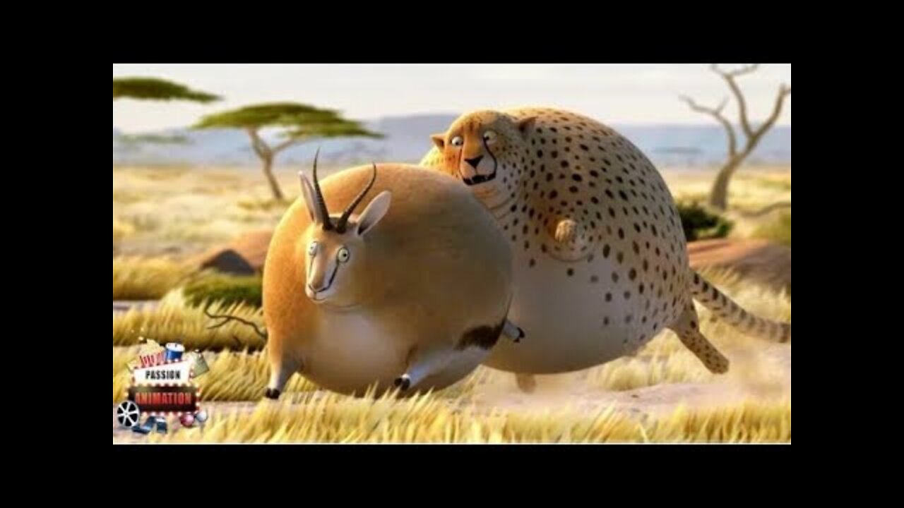 Funny FAT Animals - Animated Short Films by Rollin' Wild | Animal Cartoon