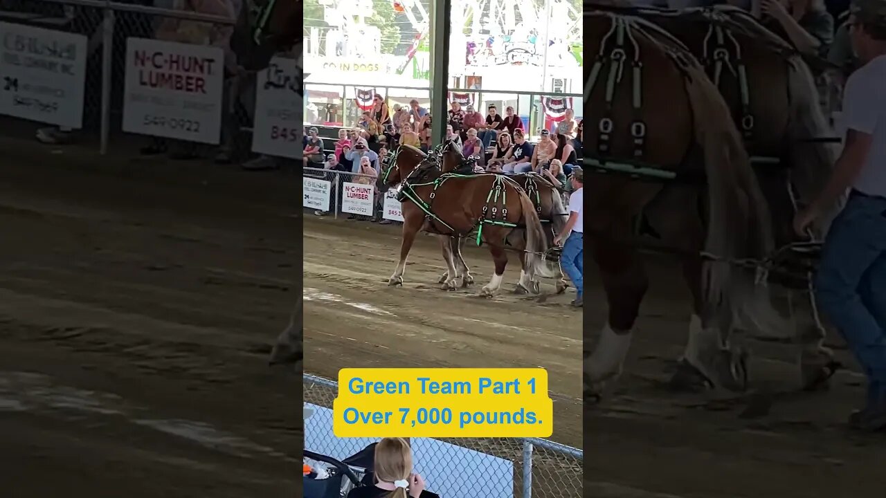 Horse Pull, Windsor Fair, Maine, 2023 GreenTeam Part 1