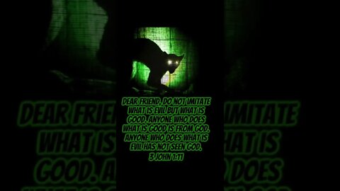 3 John‬ ‭1:11‬ ‭#God #christian #Jesus #bible #Halloween #evil #good #blackcat