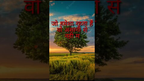 Motivational Quotes #shorts #motivation #motivationalquotes