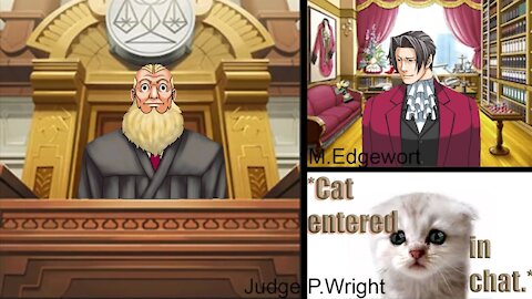 "I'm not a cat!" (Ace Attorney)