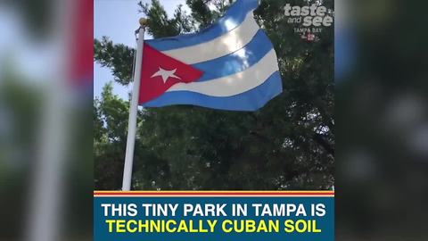 Take a quick trip to Cuba without leaving Tampa Bay