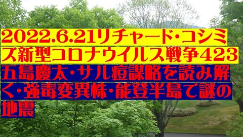 2022.06.21 リチャード・コシミズ新型コロナウイルス戦争４２３