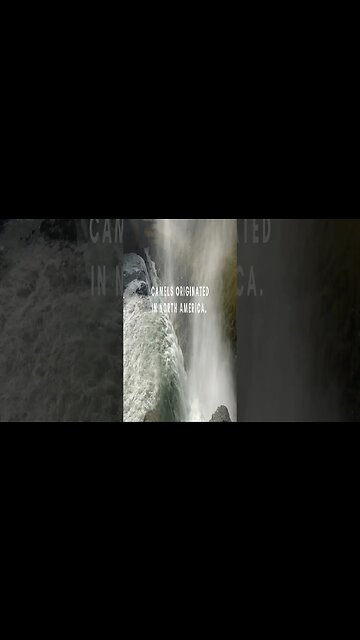 RANDOM FACTS! For The Curious Mind Vid #20 #Shorts #Facts