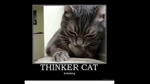 Ponderings