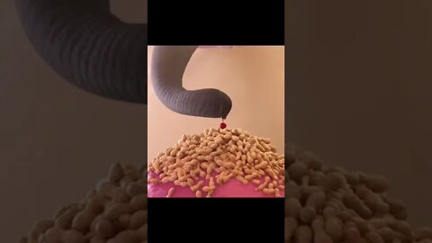Why Zootopia Gives Me Trust Issues