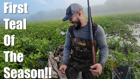 On The Board || An Early Season Teal Hunt