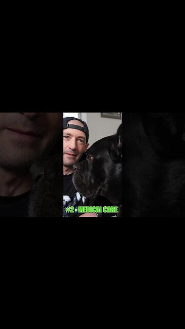 Monthly COST To Own a Cane Corso #shorts #dog
