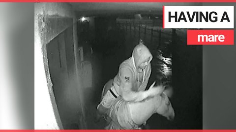 Man filmed slapping a terrified pony before riding it around a livery yard