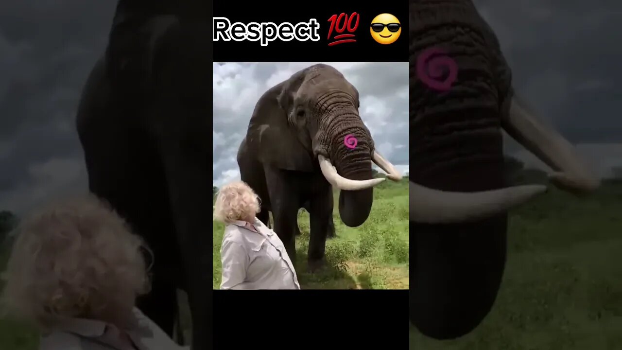 Respect 💯😎 #shortvideo #shortsfeed #shorts