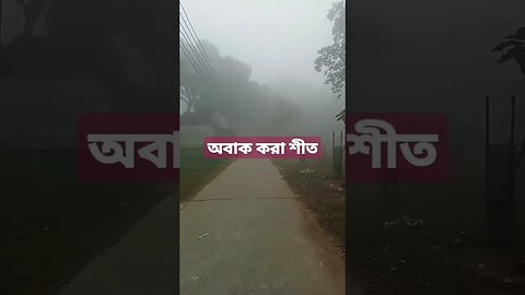 অবাক করা শীত
