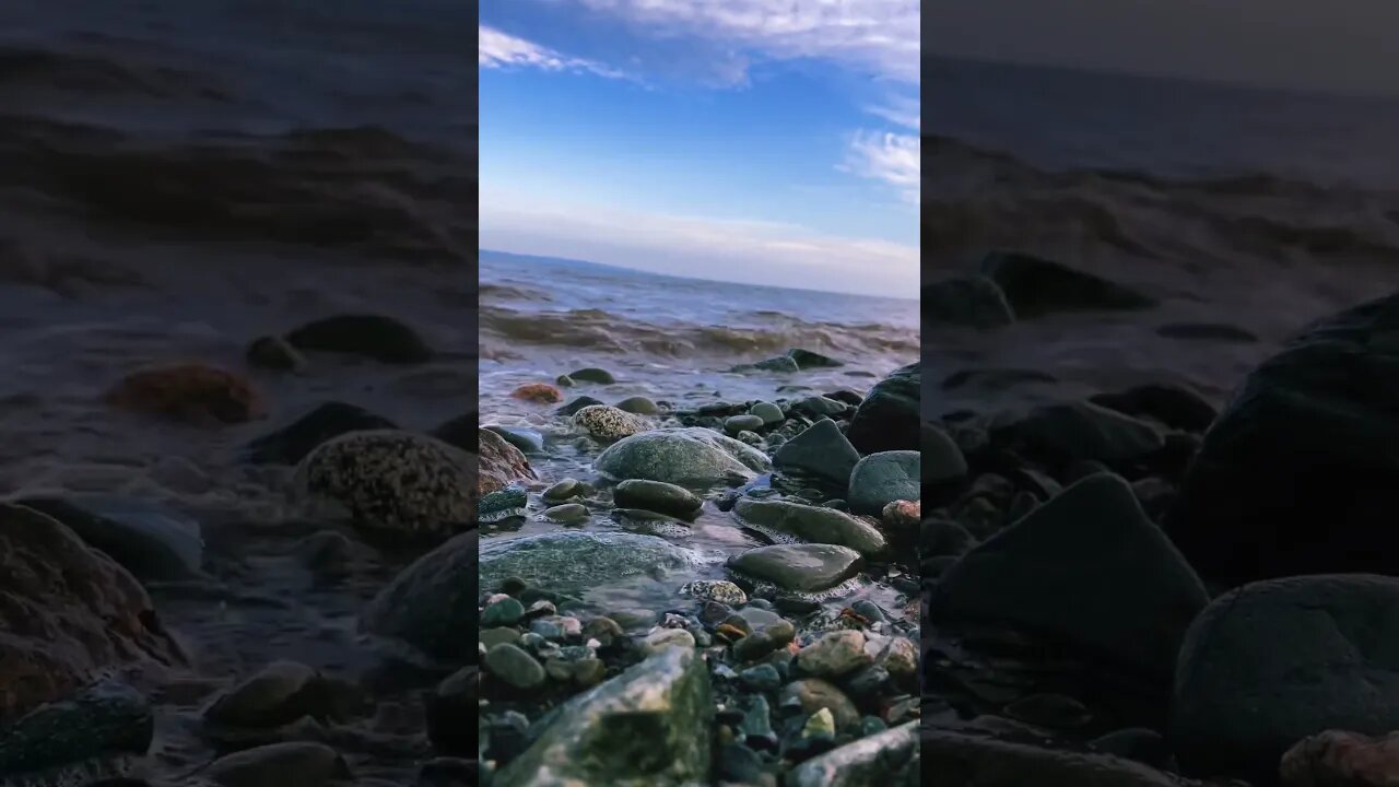 The Most Chill Video of All Time