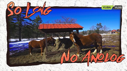 So Long NO Analog ~ Technical Dificulties