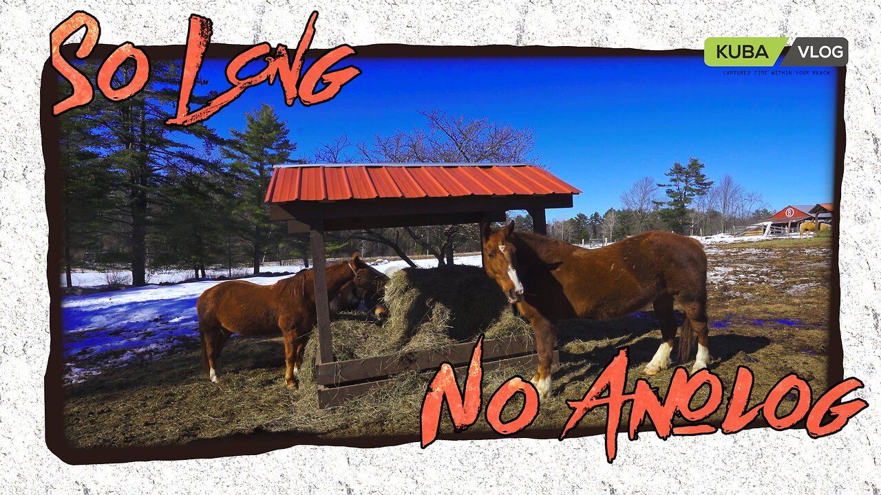 So Long NO Analog ~ Technical Dificulties