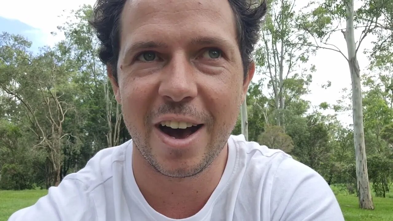 Your Ego Is Absurd (Video Journal)