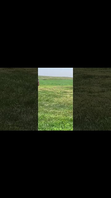 Suppressed Savage Arms .17HMR vs Little Hug Fruit Barrels. #shorts