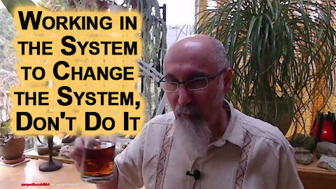 Advice on Working in the System to Change the System, Don't Do It