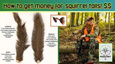 Sell your squirrel tails for fishing lures or money?