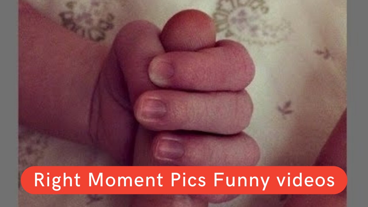 Right Moment Pics Funny videos - Funny pics compilation