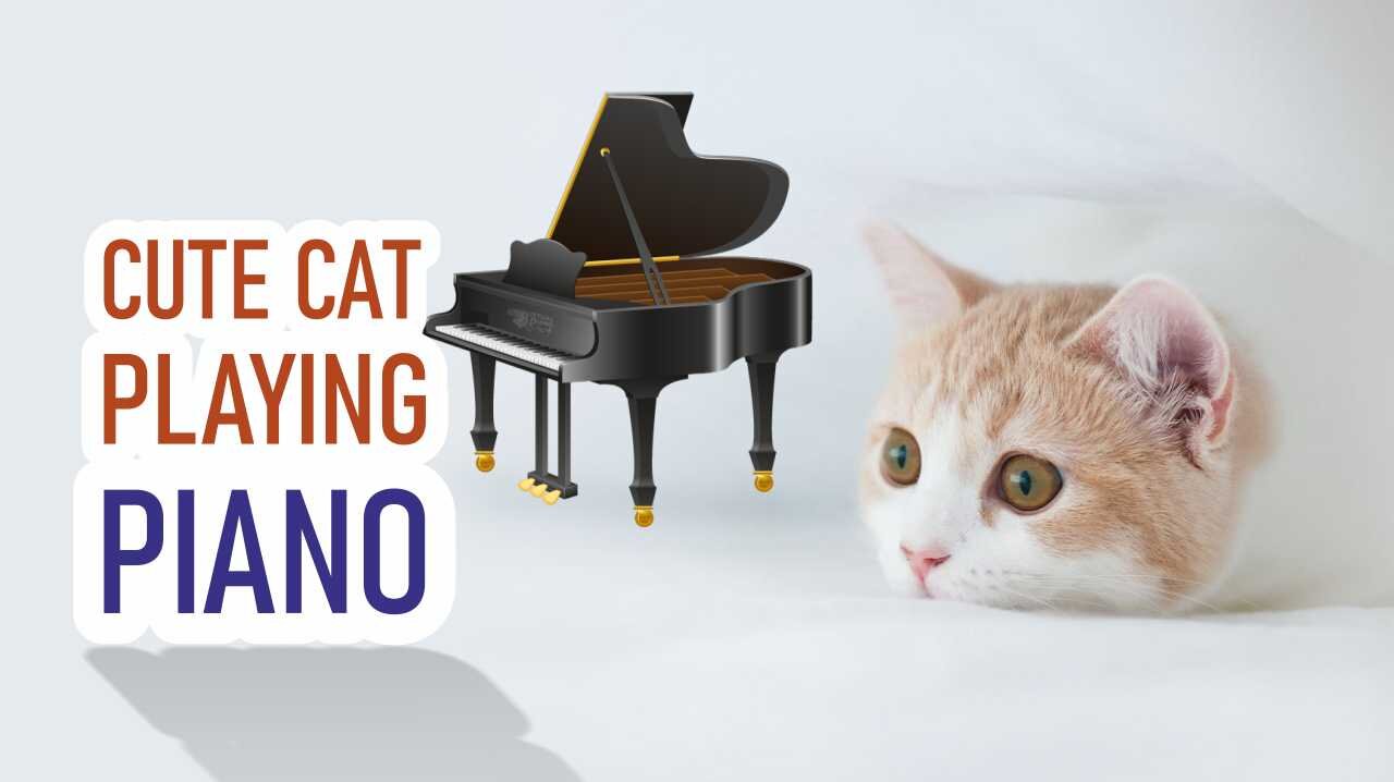 Cute Cat Playing while walking on Piano