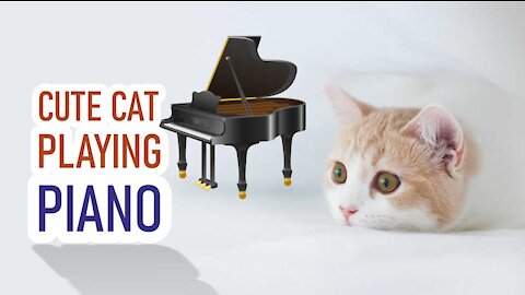 Cute Cat Playing while walking on Piano