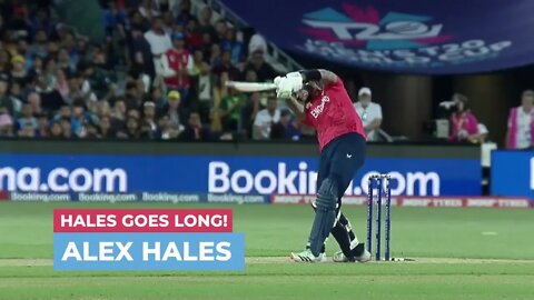 @NSJ TV @cricket.com.au #cricket @cricket.com.au