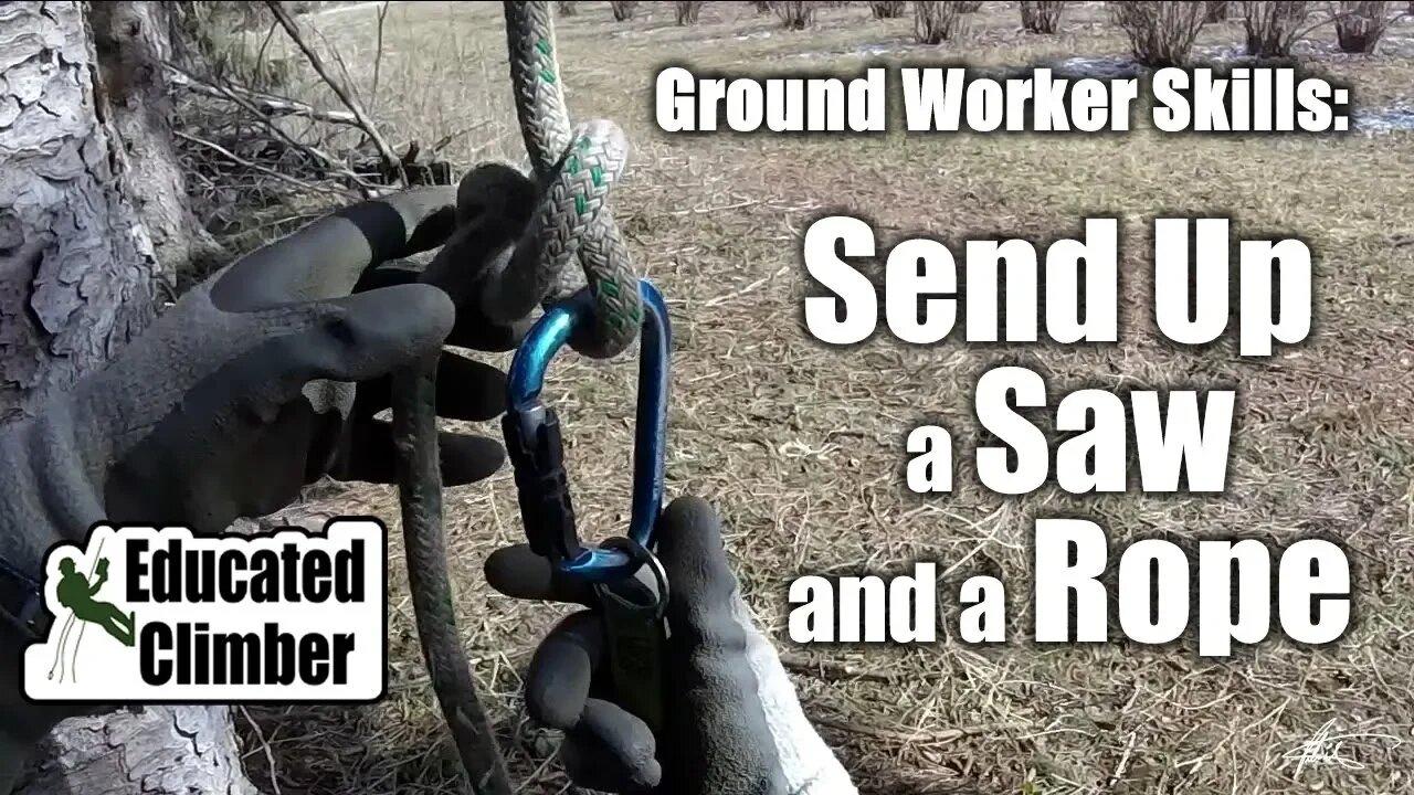 How to Send Up a Saw and a Rope | Basic Arborist Ground Worker Skills