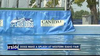 Splash Dogs making their way to Western Idaho Fair