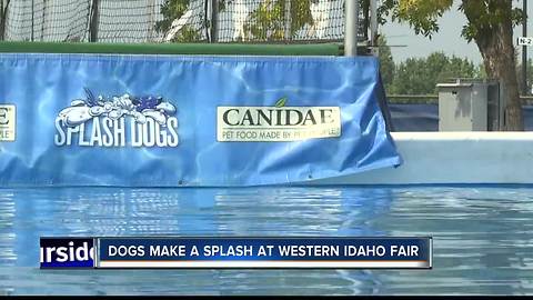 Splash Dogs making their way to Western Idaho Fair