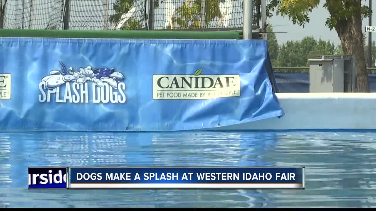 Splash Dogs making their way to Western Idaho Fair